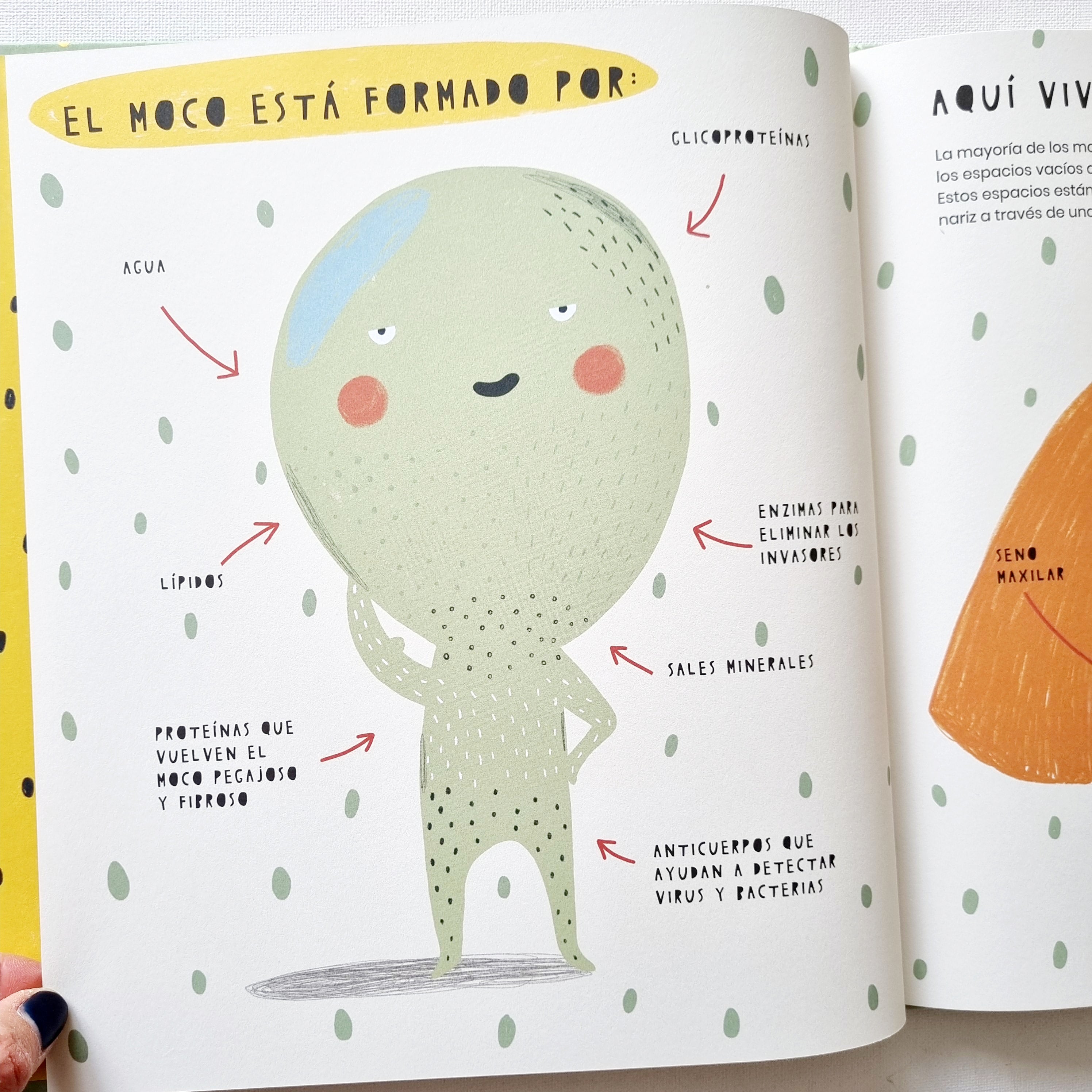 La vida secreta de los mocos La vida secreta de los mocos